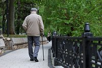 В России анонсировали рост средней пенсии по старости. Как увеличатся выплаты работающим пожилым россиянам? В России анонсировали рост средней пенсии по старости. Как увеличатся выплаты работающим пожилым россиянам?