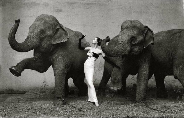 Ричард Аведон — виртуоз фотопортрета, которому доверяли звезды Ричард Аведон — виртуоз фотопортрета, которому доверяли звезды