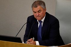&laquo;Социально опасное явление&raquo;. В Госдуме высказались об идеологии чайлдфри и отказе рожать детей