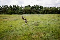 В Минобороны заявили о ночной атаке ВСУ ракетами ATACMS по России В Минобороны заявили о ночной атаке ВСУ ракетами ATACMS по России