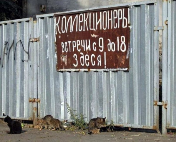 22 смешных и нелепых объявлений, знаков и табличек