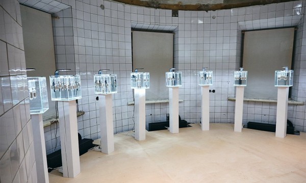 Временные мосты наводят на выставке-экскурсии &laquo;Будущее воспоминаний&raquo;