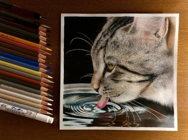 23 рисунка кошек в жанре гиперреализма
