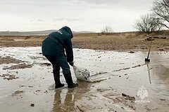 В Севастополе объявлен режим федеральной ЧС из-за разлива мазута. Это поможет быстрее ликвидировать последствия В Севастополе объявлен режим федеральной ЧС из-за разлива мазута. Это поможет быстрее ликвидировать последствия