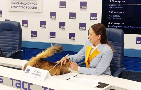Единственный &laquo;Театр кошек&raquo; едет на гастроли в полном составе впервые за 35 лет работы