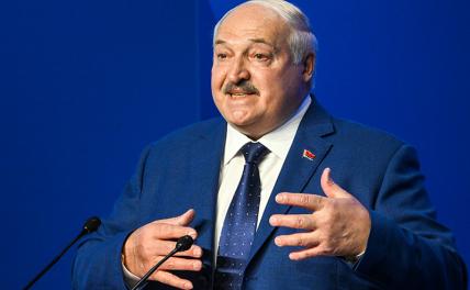 «Смотреть просто нечего!»: Лукашенко раскритиковал белорусскую киноиндустрию «Смотреть просто нечего!»: Лукашенко раскритиковал белорусскую киноиндустрию