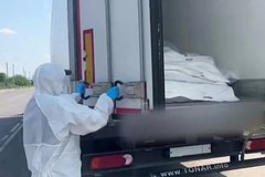 Украина неожиданно перенесла обмен пленными. На границе остались тысячи тел бойцов. Что об этом известно? Украина неожиданно перенесла обмен пленными. На границе остались тысячи тел бойцов. Что об этом известно?