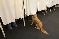 Закрылись избирательные участки на парламентских выборах в Венгрии