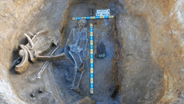 Амазонки, андрогины и сексуальные обычаи скифов: что из рассказанного Геродотом — правда Амазонки, андрогины и сексуальные обычаи скифов: что из рассказанного Геродотом — правда