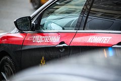 Задержан второй участник избиения российского ученого
